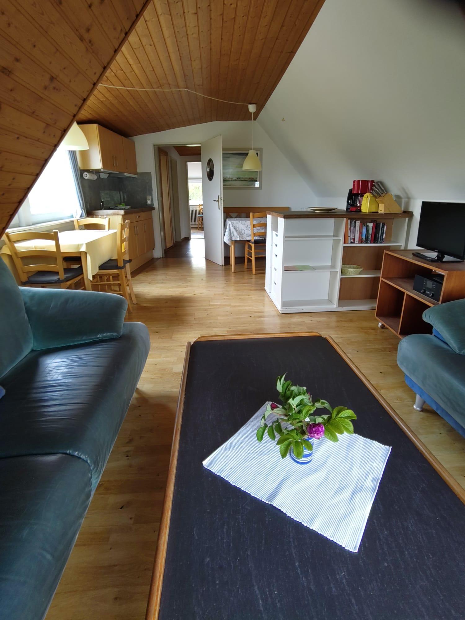 Kajüte, Wohn- und Esszimmer mit Küche